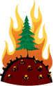 Forest Fires